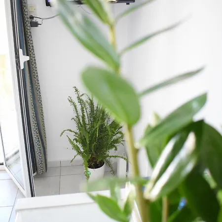 Ariadni Premium Click & Flat Apartment Rethymno (Crete)